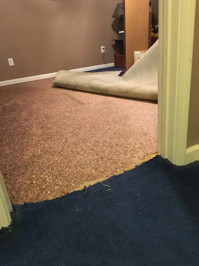 Carpet pad removal revealing water damage during Water Mitigation Services in West Frankfort