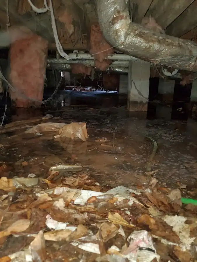 Crawl space flood assessment for Leak Detection & Repair in West Frankfort
