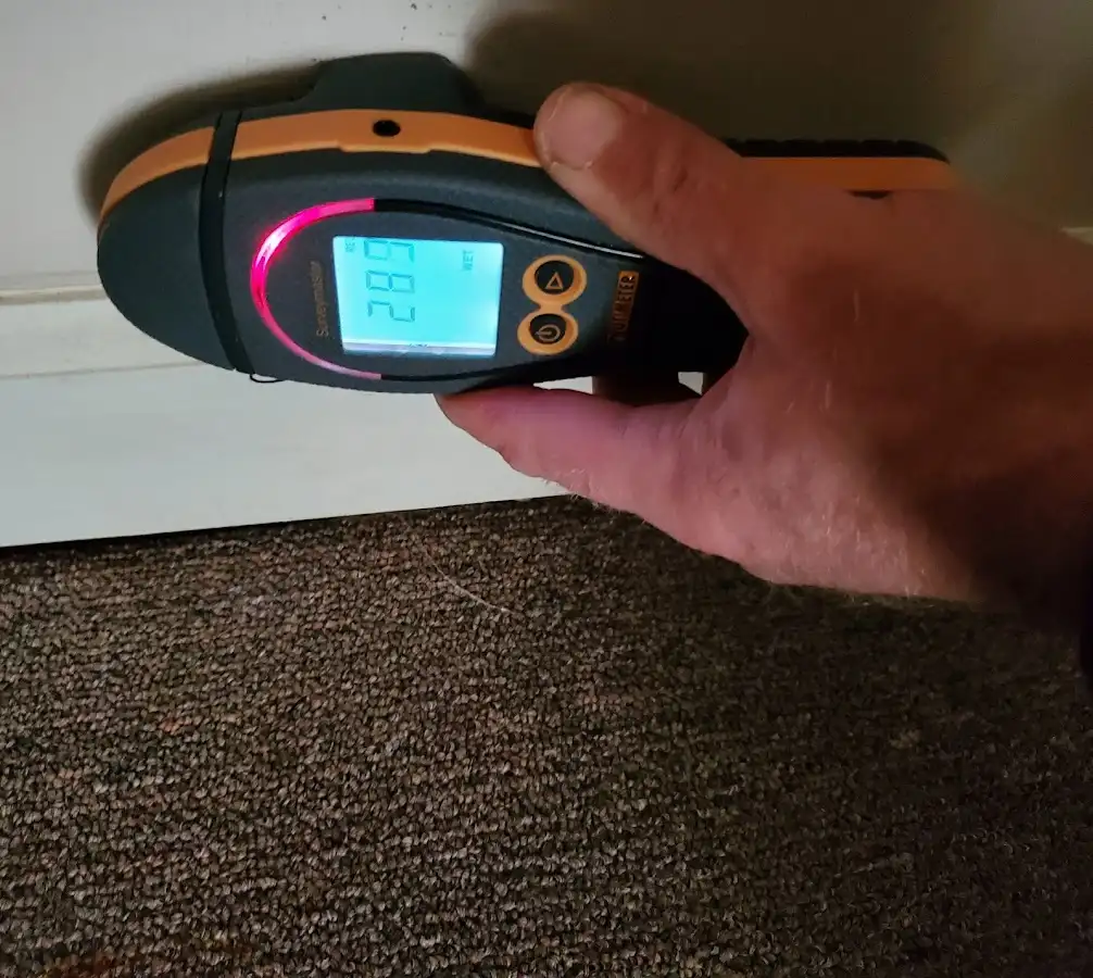 Moisture detection at baseboard during Burst Pipe Cleanup in West Frankfort
